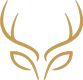 Icon Design